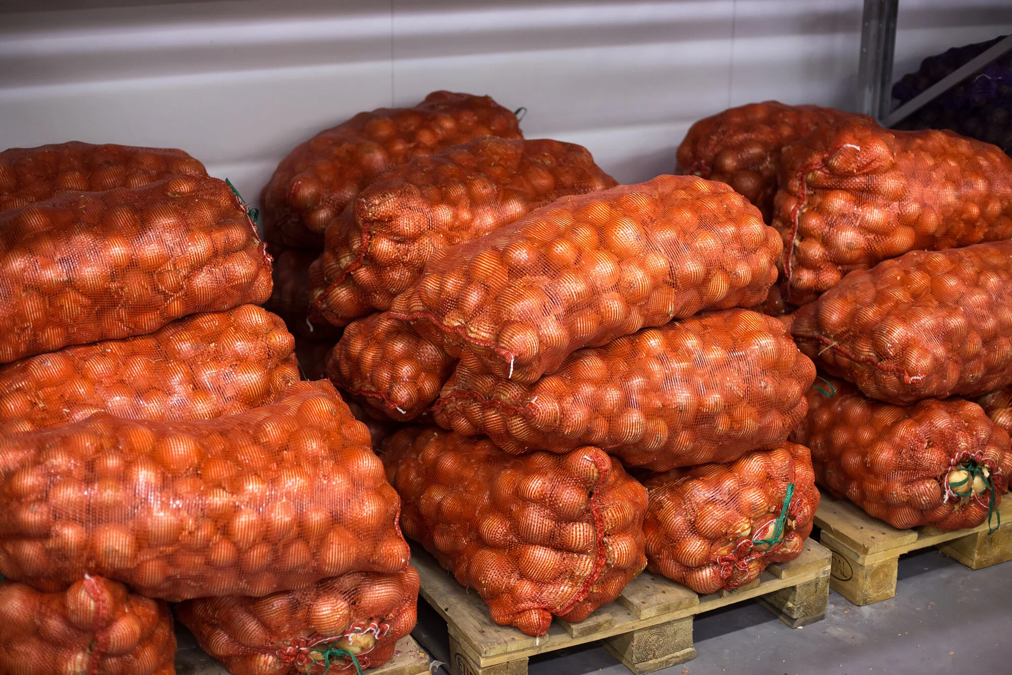 Bags of onions stacked on pallets in a warehouse or store in Mesh produce bags for onions, vegetables and agricultural storage
