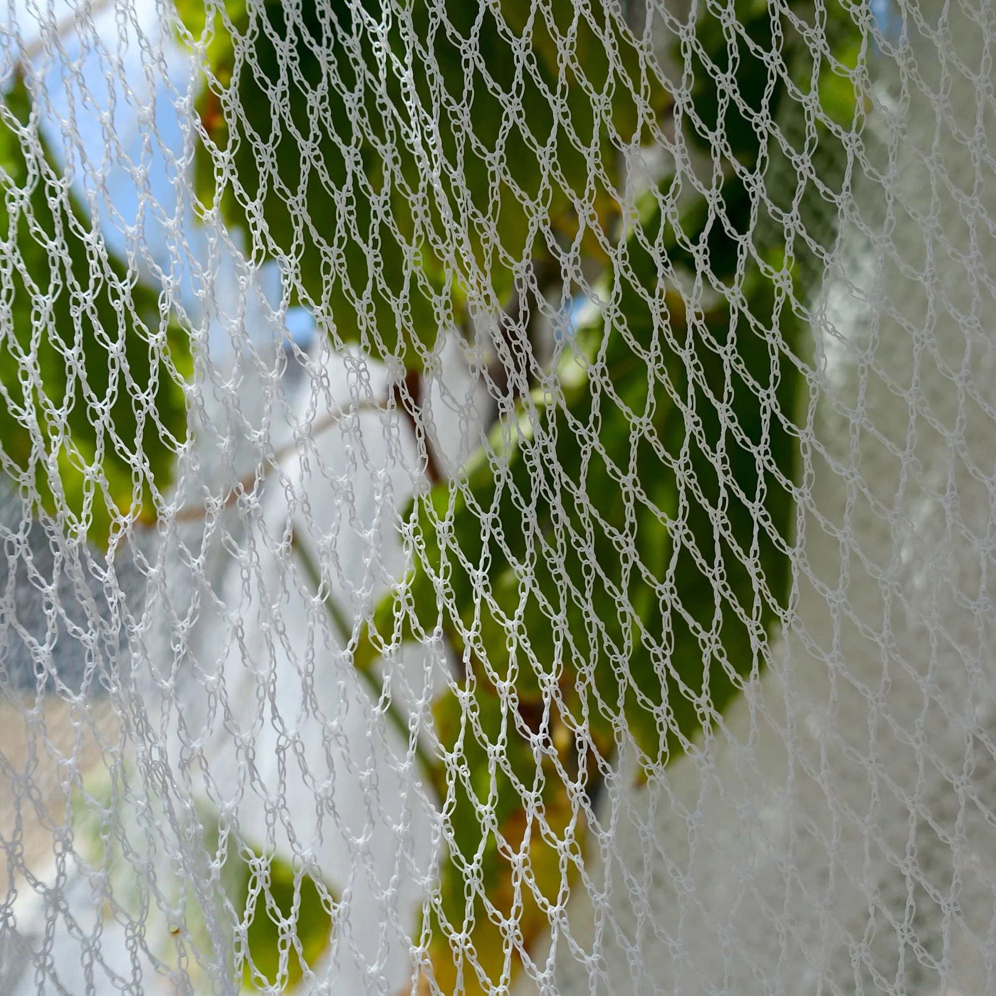 Close-up of a white bird netting with a leafy green plant and blue sky visible through the gaps.