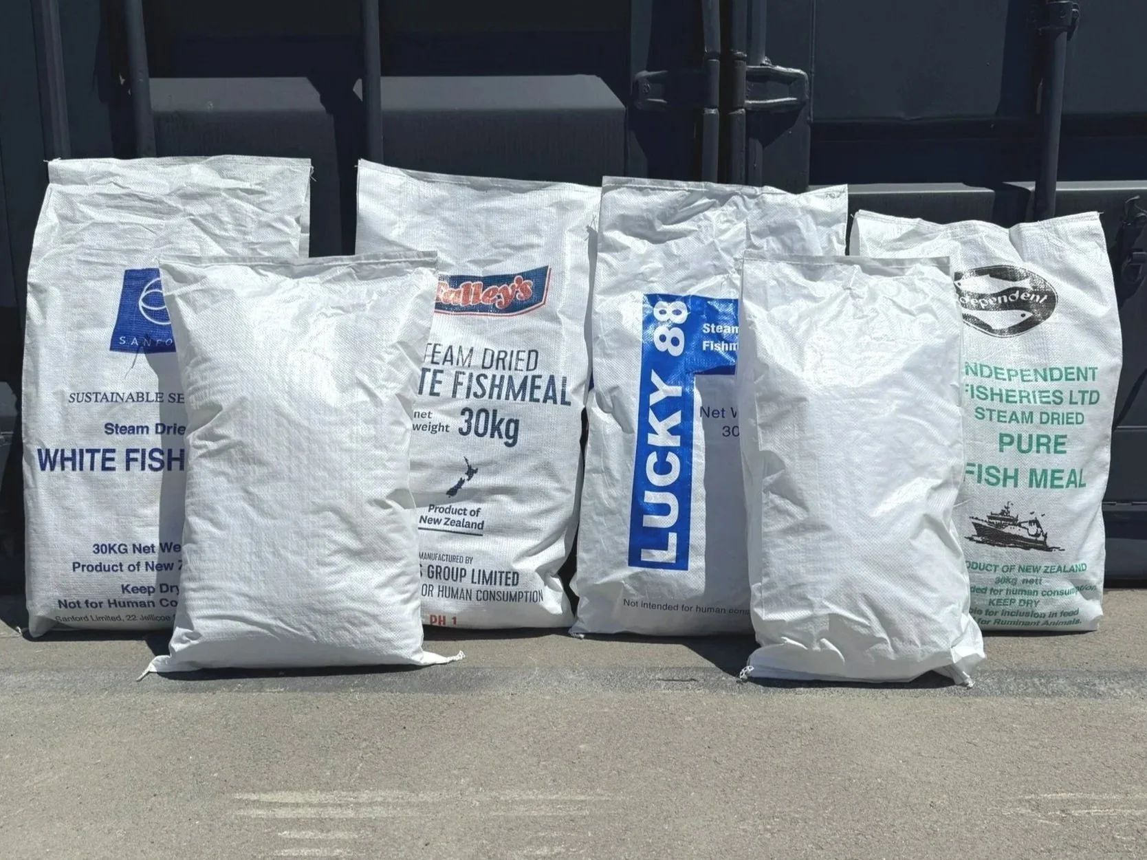 A forklift carrying a load of white sacks secured with green straps outside a building.
