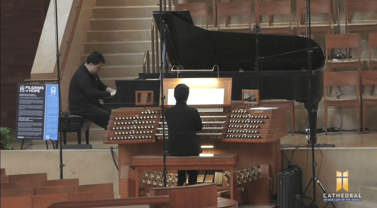 OLA video still image 4