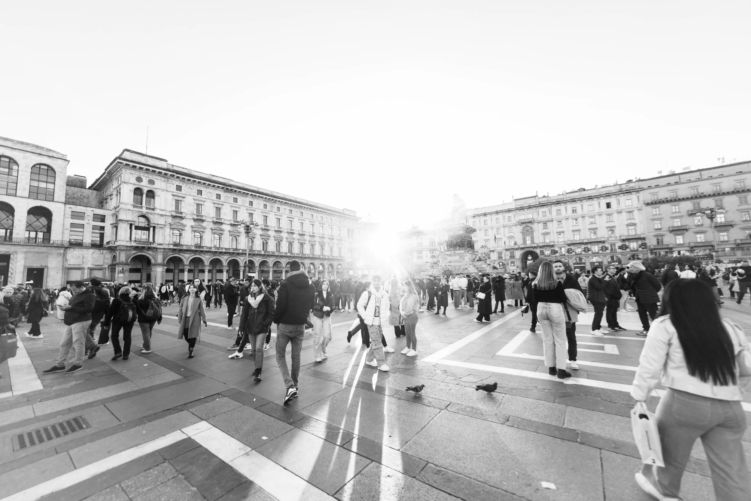 _P1A8223.jpg