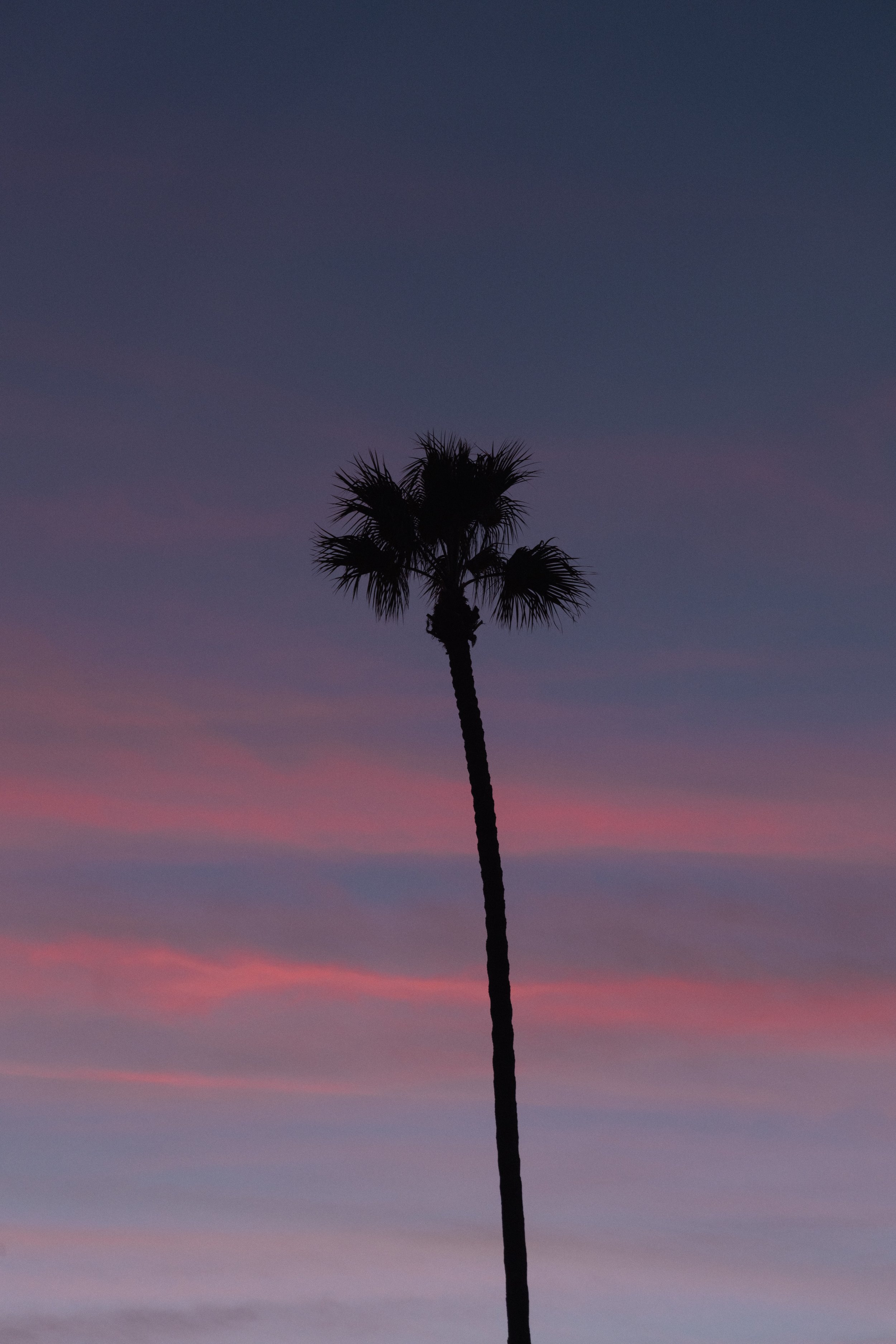 _P1A7278.jpg