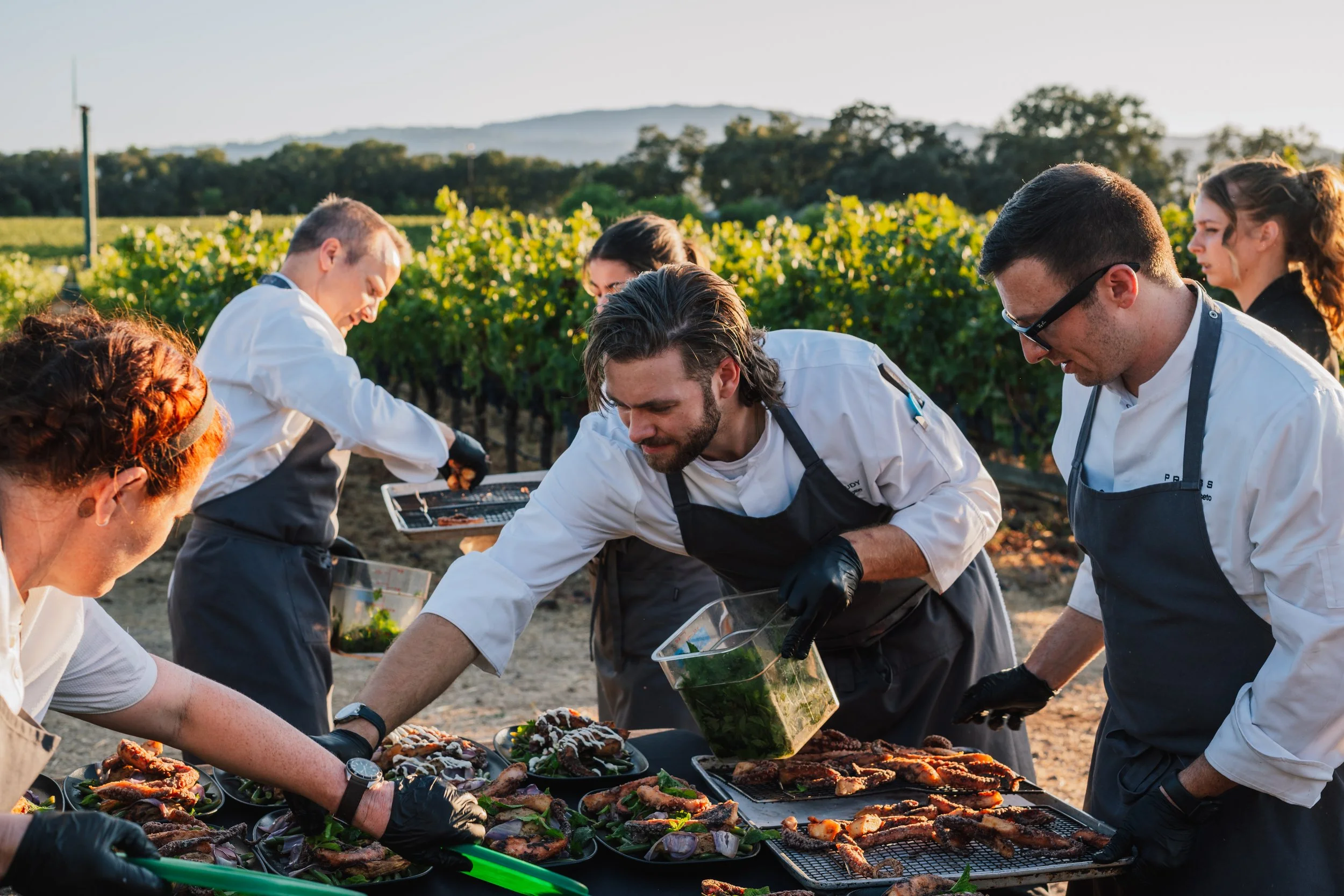 Chef team preparing a meal in the vineyards