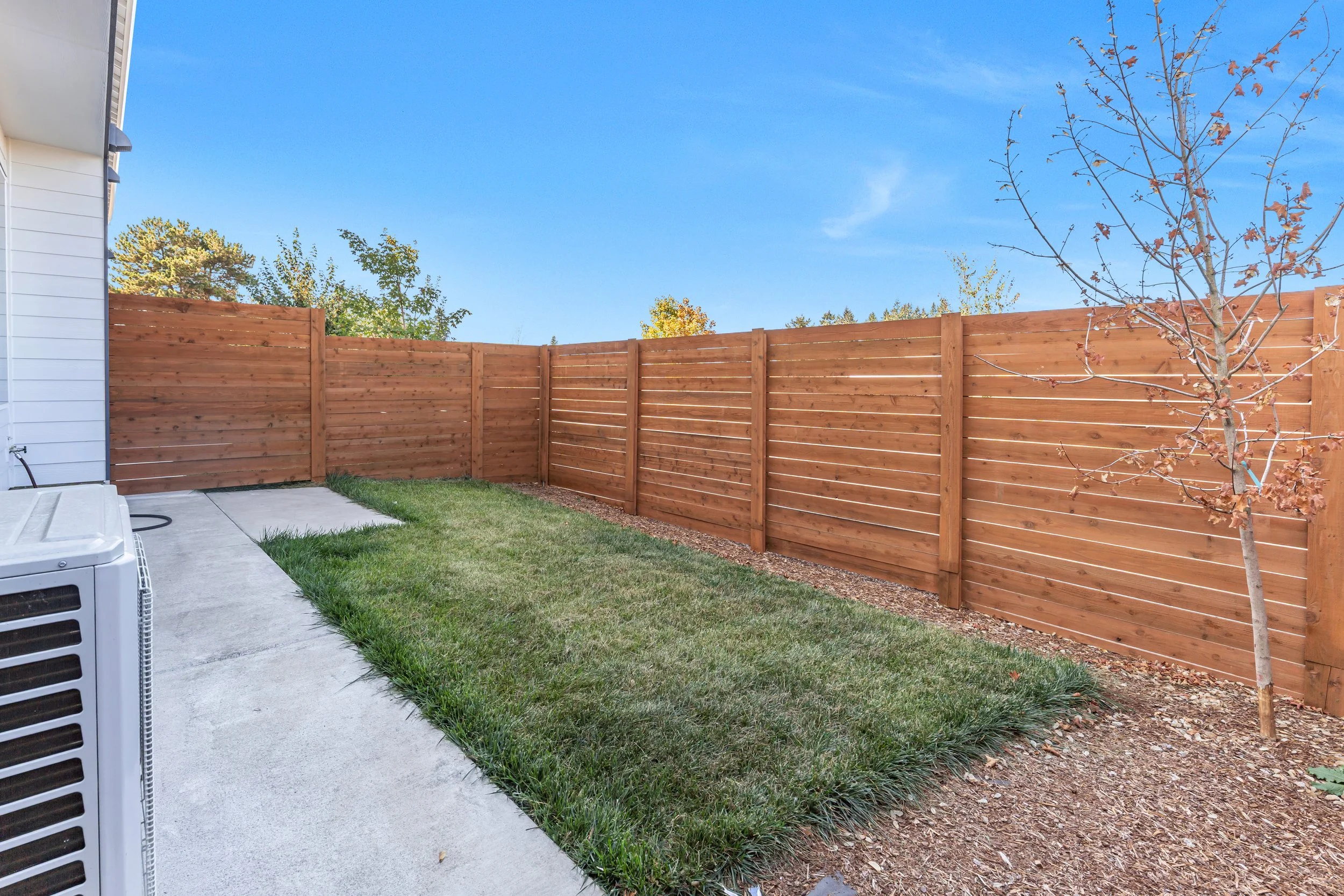 Backyard.jpg