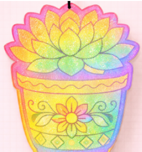 talavera pot succulent