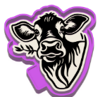 Cow Chewing