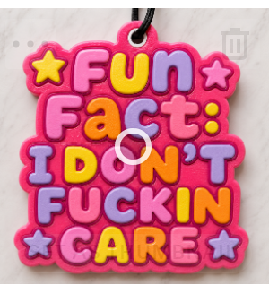Fun Fact I Don't F***** Care