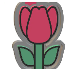 Tulip