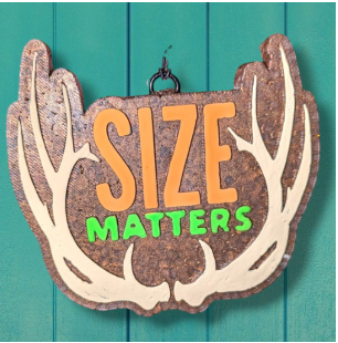 Size Matters