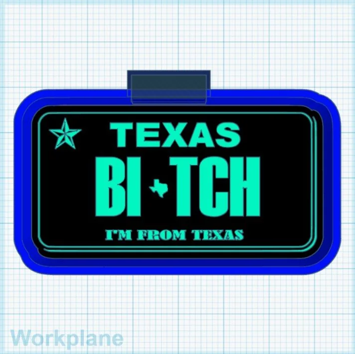 Texas Bitch Im from Texas