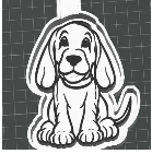 Basset Hound