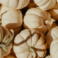 Vanilla Pumpkin Marshmallow (BBW Type) Fragrance Oil