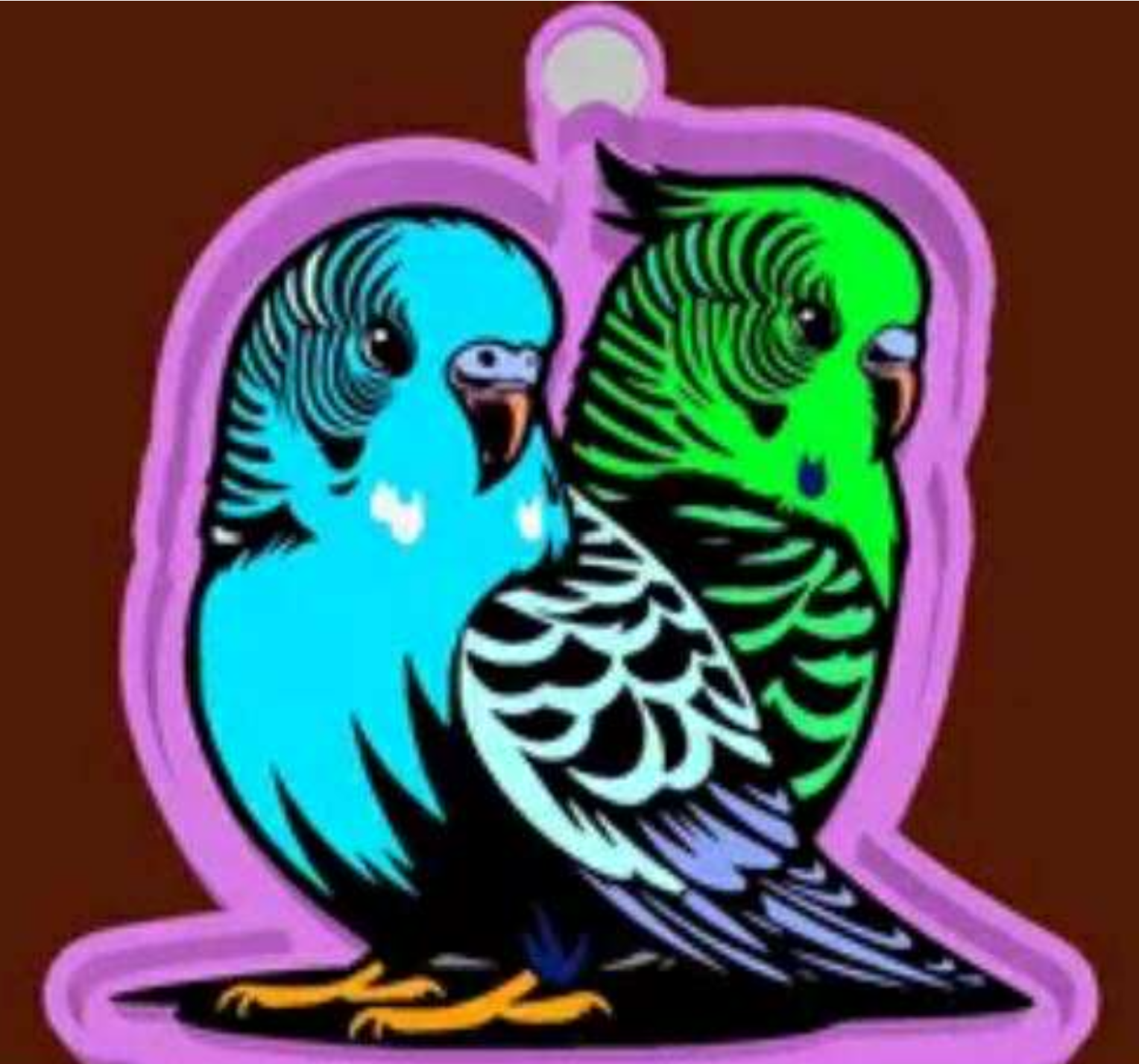 Duo Parakeets