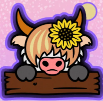 Highland cow with sunflower