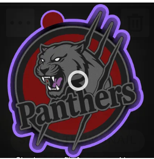 Team Panthers