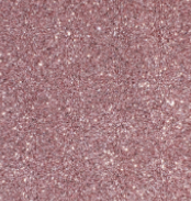 Screenshot 2026-08-01 152044.png
