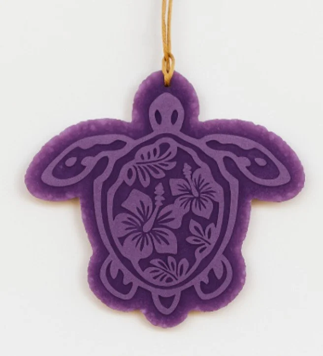 sea turtle aloha 2.jpg