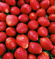 Strawberry Scented Beads