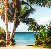 Waikiki Beach Coconut (BBW Type) Fragrance Oil