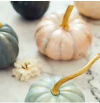 Blueberry Pumpkin Patch (BBW Type) Fragrance Oil
