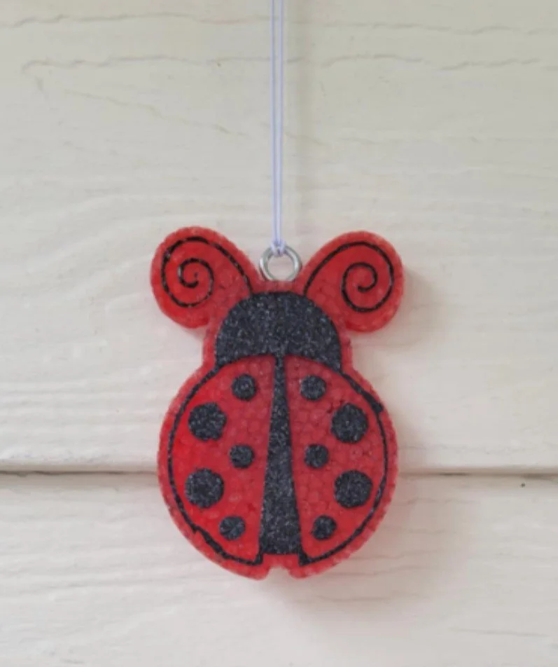 lady bug 3.jpg