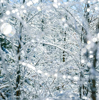 Sparkling Icicles (BBW Type) Scented Beads