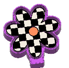 Checkered Daisy