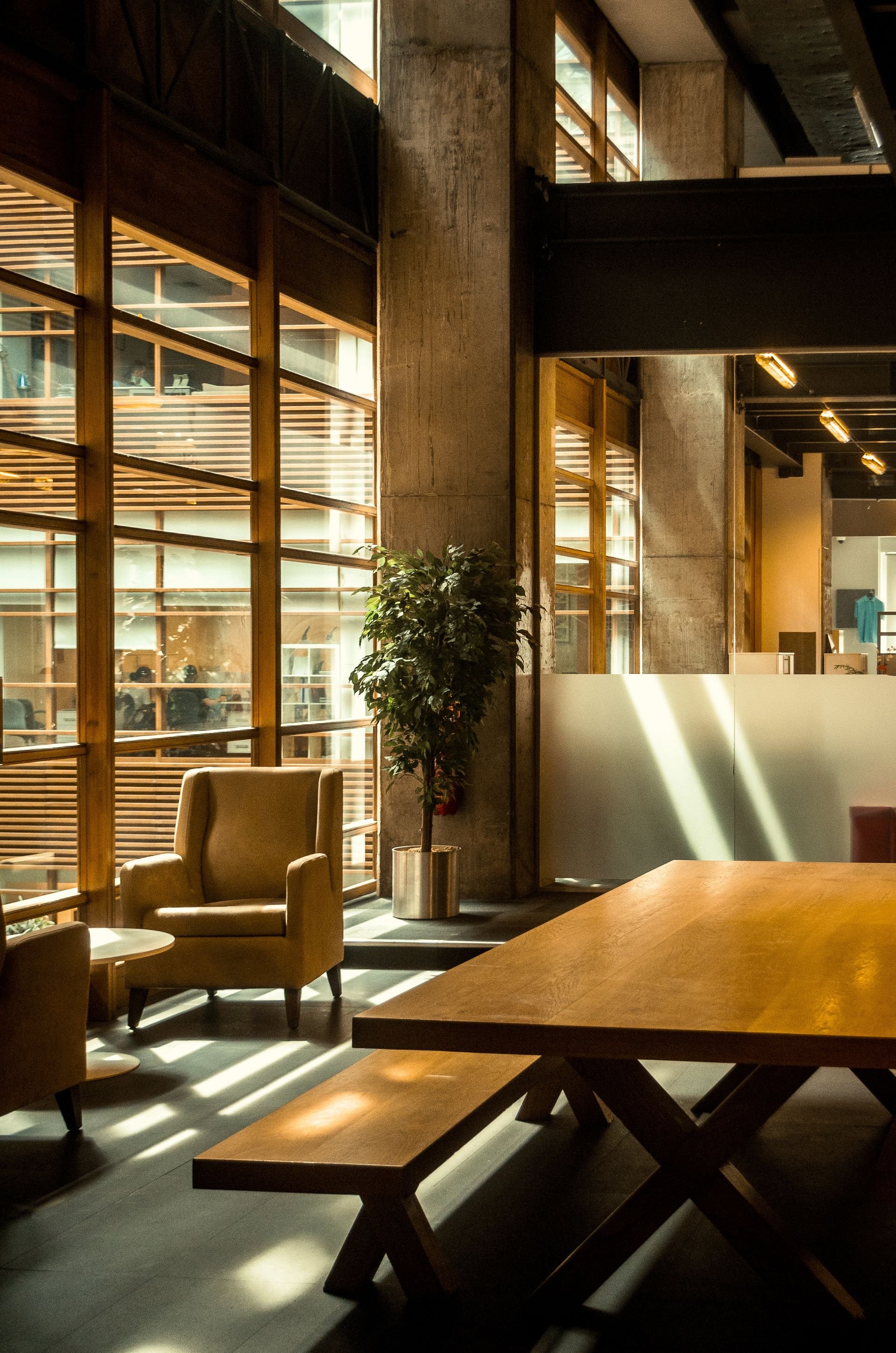 Interior of a modern office or lounge area with large glass windows, wooden furniture, a potted plant, and warm lighting.