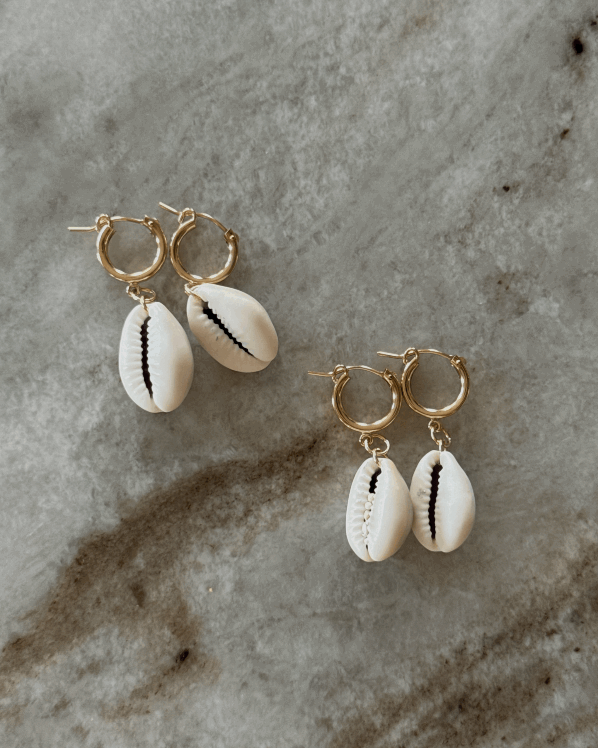 Cowrie Shell Earrings