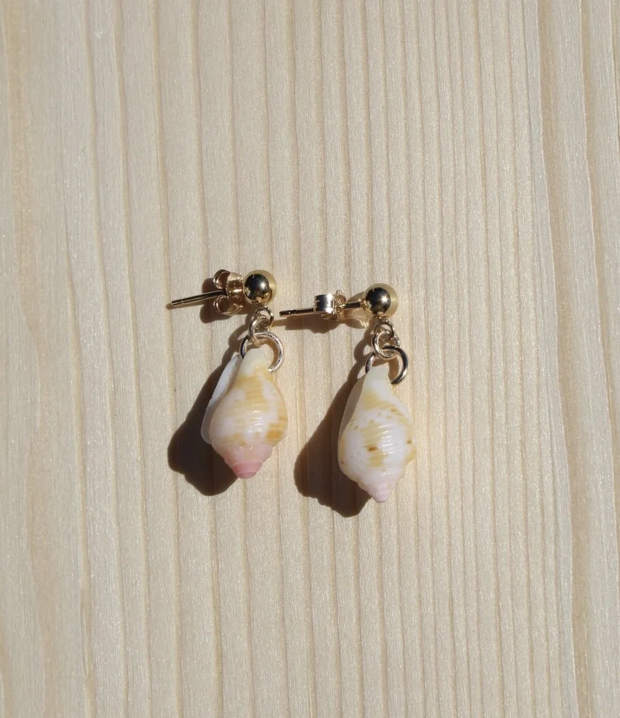 Baby Cone Shell Studs