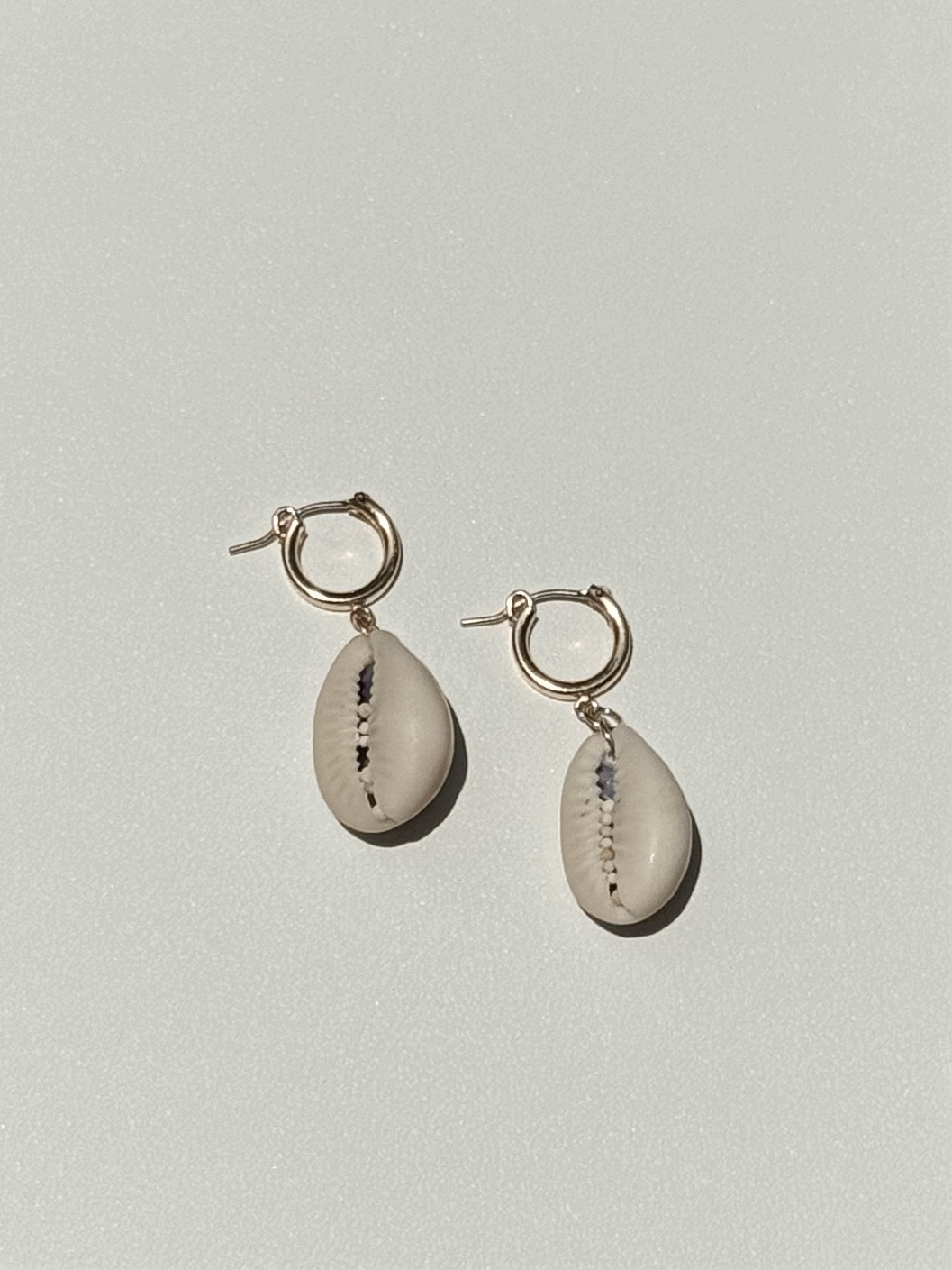 Cowrie Shell Earrings
