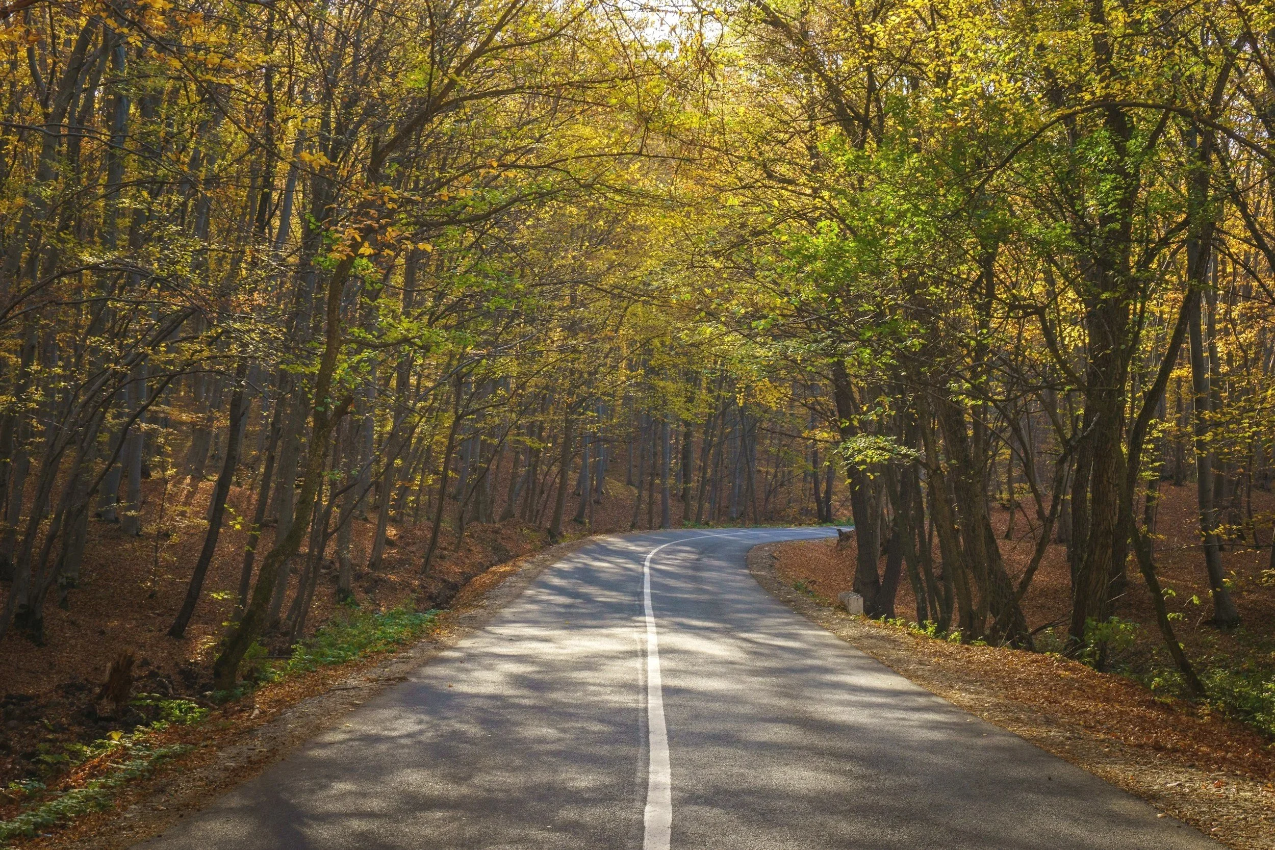 Path to helping with depression, anxiety, trauma, anxiety, panic attacks, and mood disorders