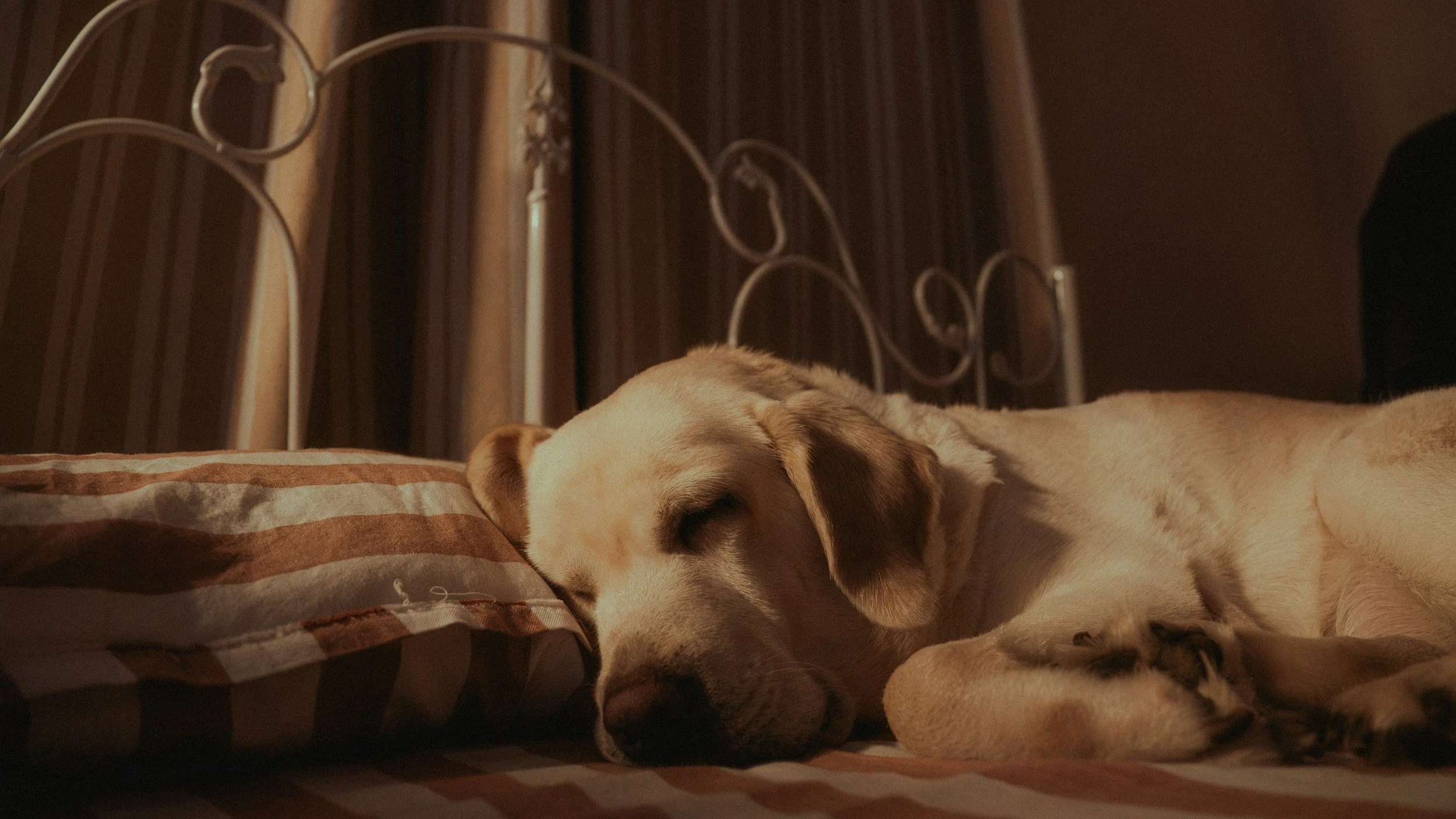 Restorative Sleep and Mental Health