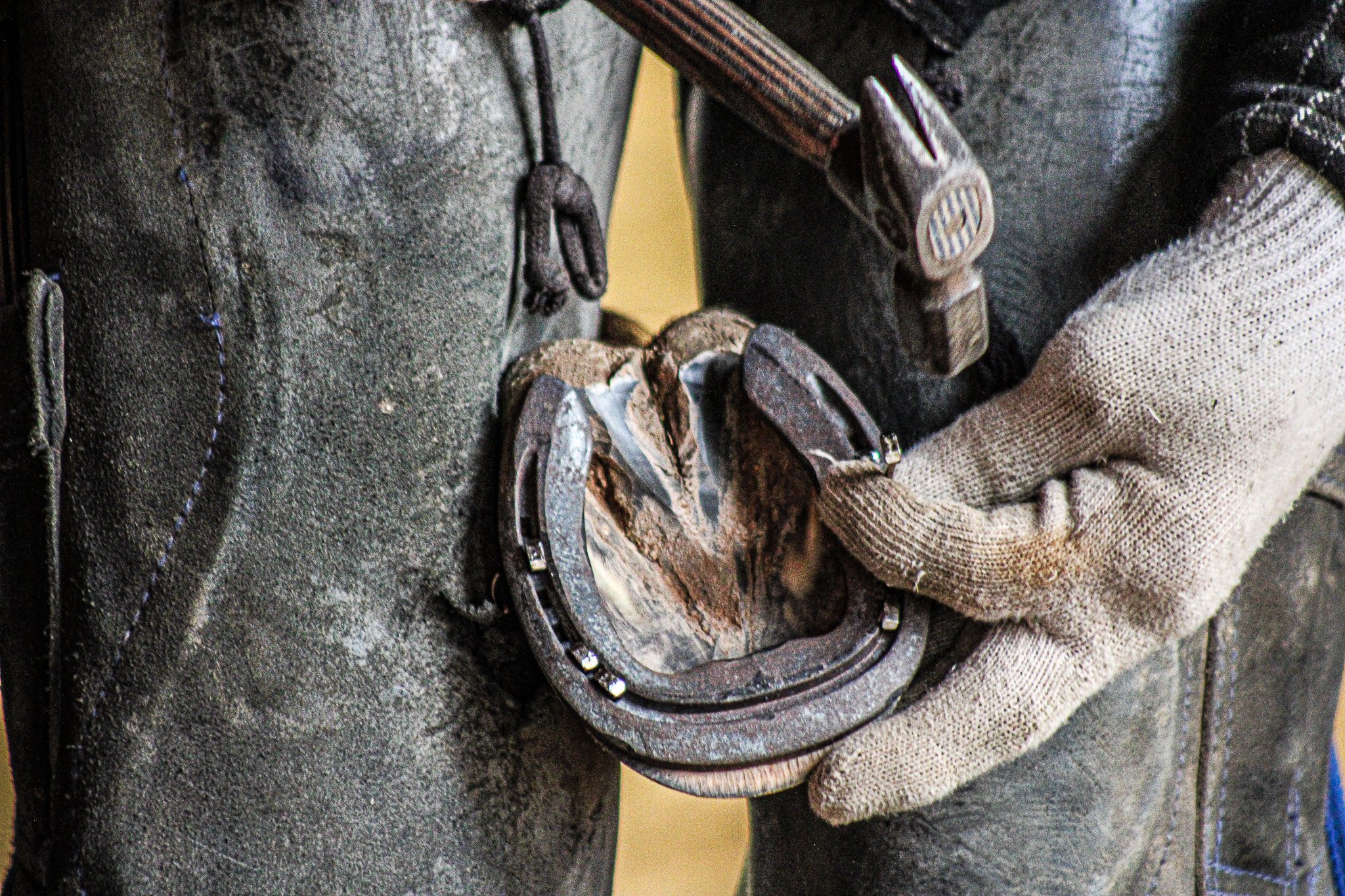 Forged in Detail-1.jpg