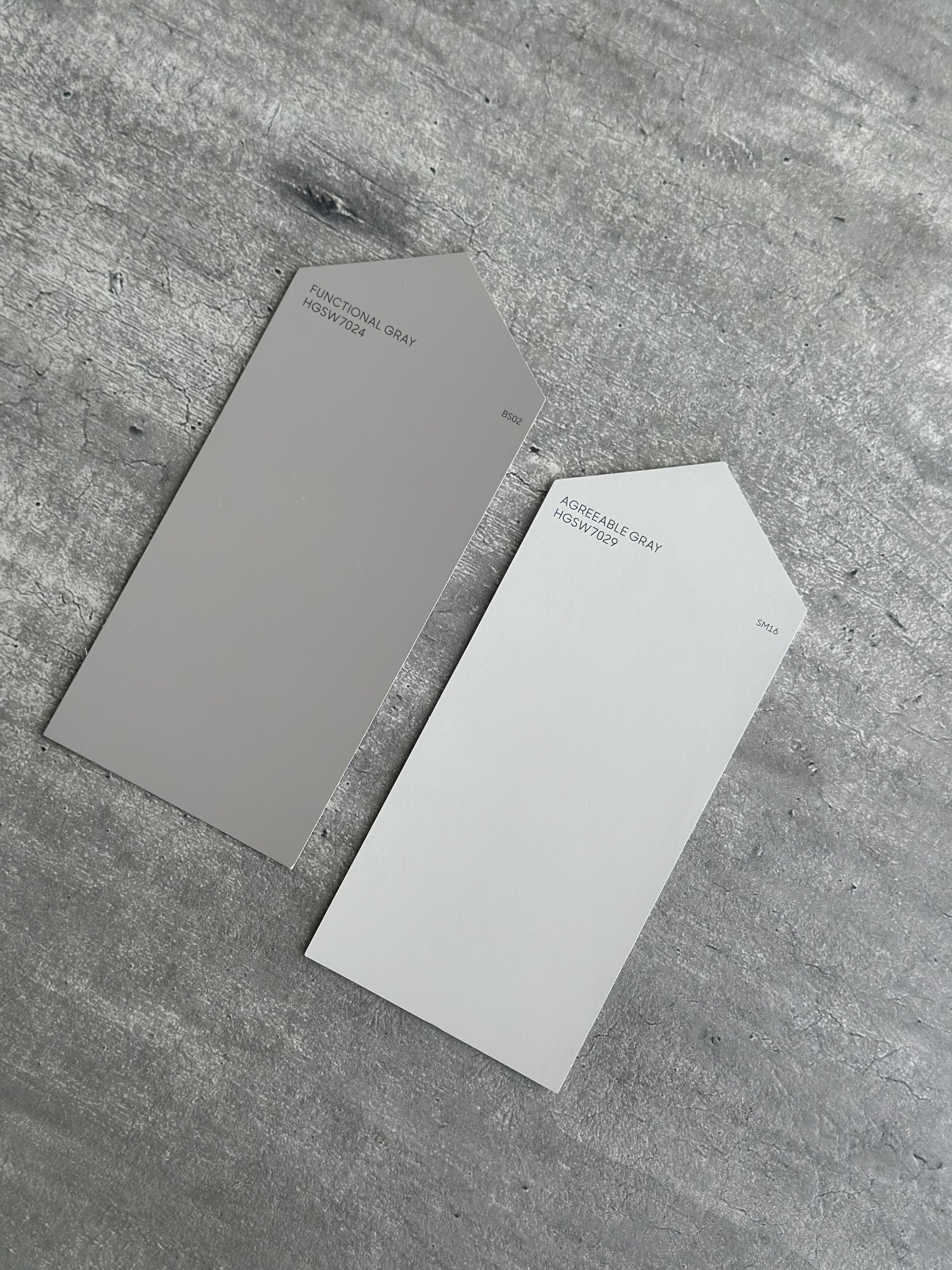 Two color swatches, one labeled 'Function Gray' and the other 'Agreeable Gray,' lying on a textured gray surface.