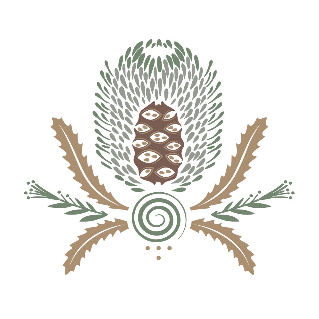 Illustration of a pine cone, pine needles, and a coiled pattern on a black background.