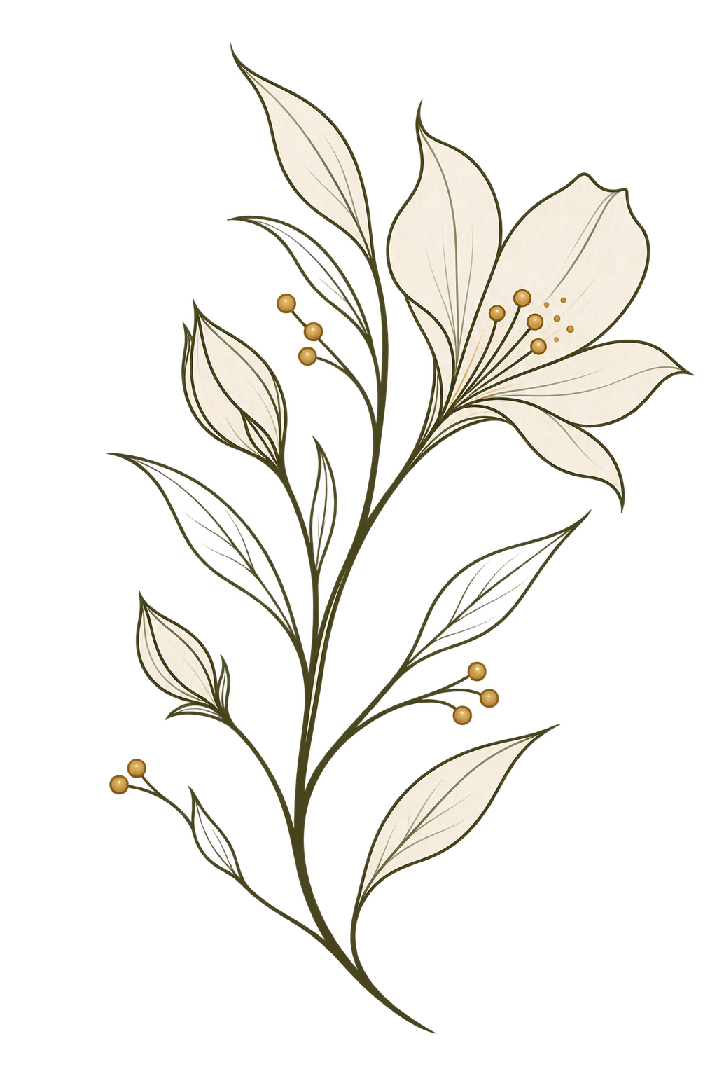 Botanical flower illustration representing fertility and postpartum therapy