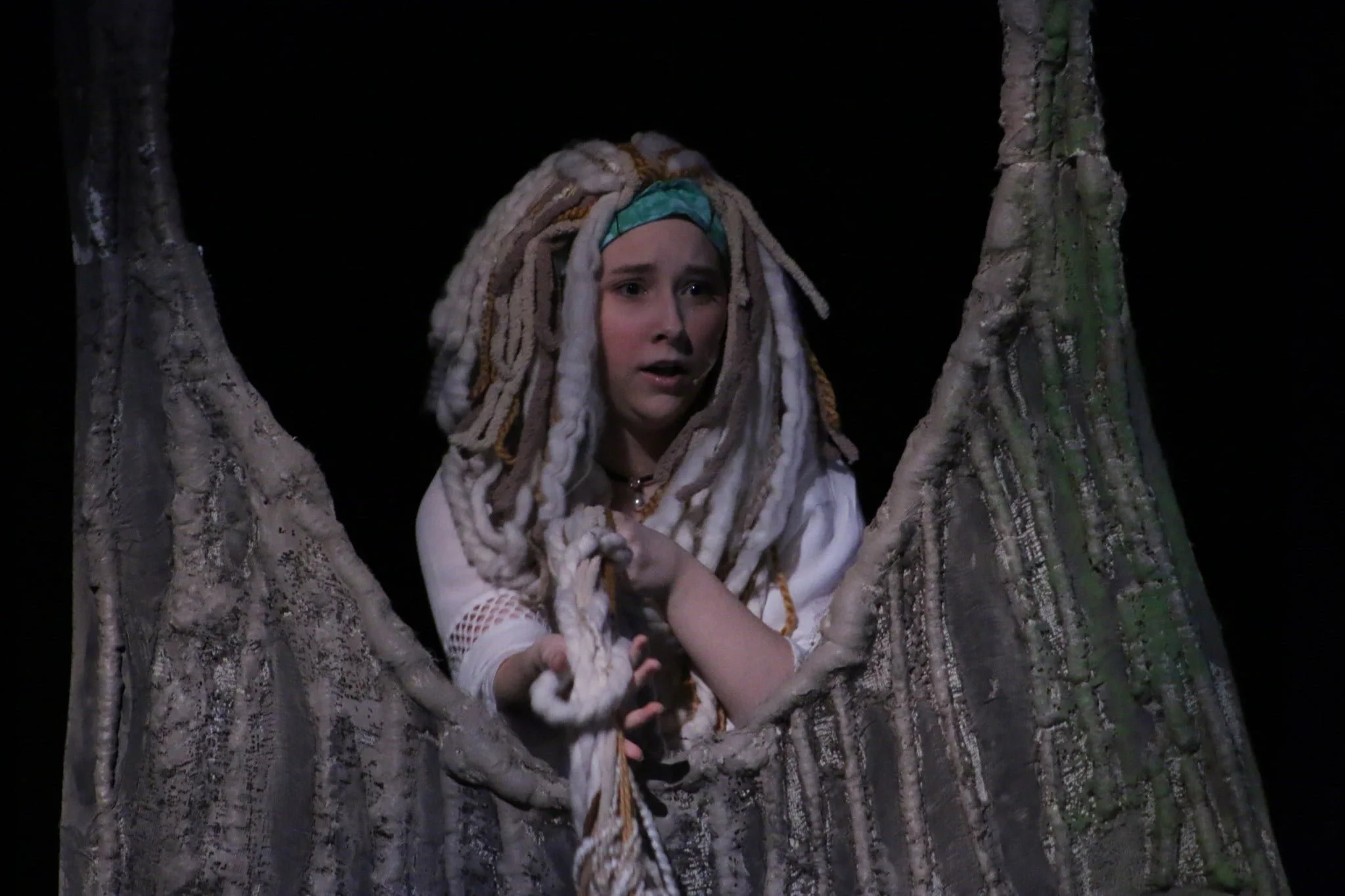Rapunzel
"Into the Woods"
Chippewa Falls High School
Designed & Directed By Nate Plummer
