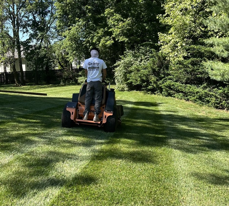Landscaping Clean Up Before