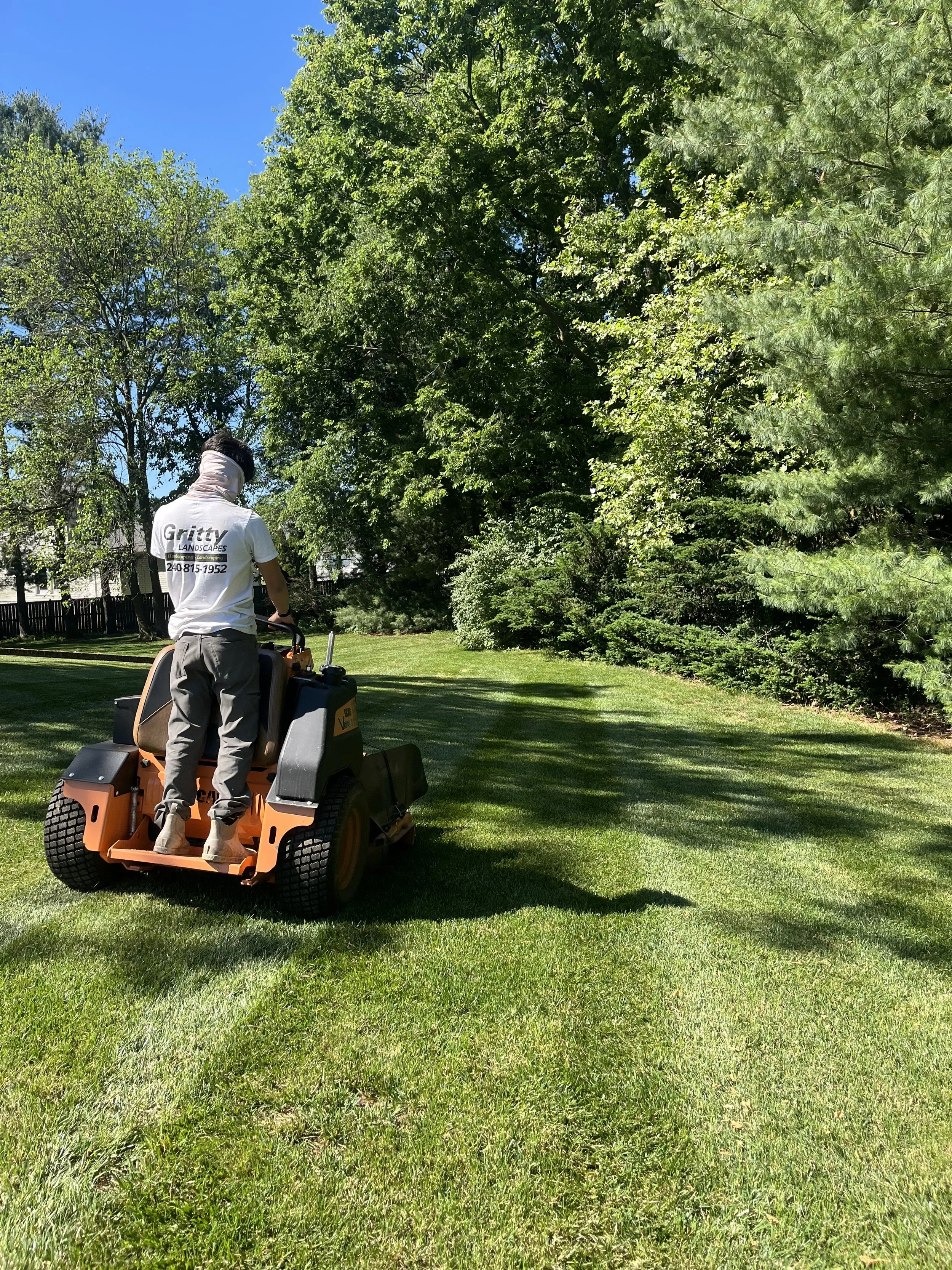 A person mowing a lush green lawn with a riding lawn mower, surrounded by tall green trees and a clear blue sky.