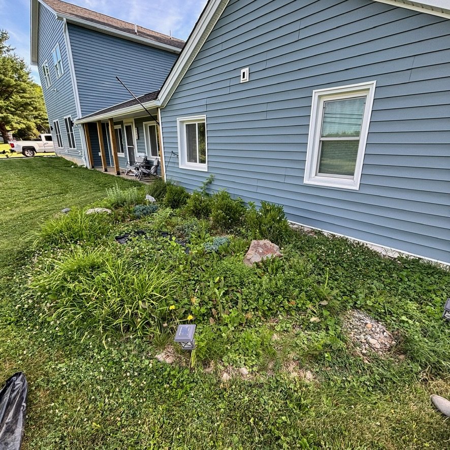Landscaping Clean Up Before