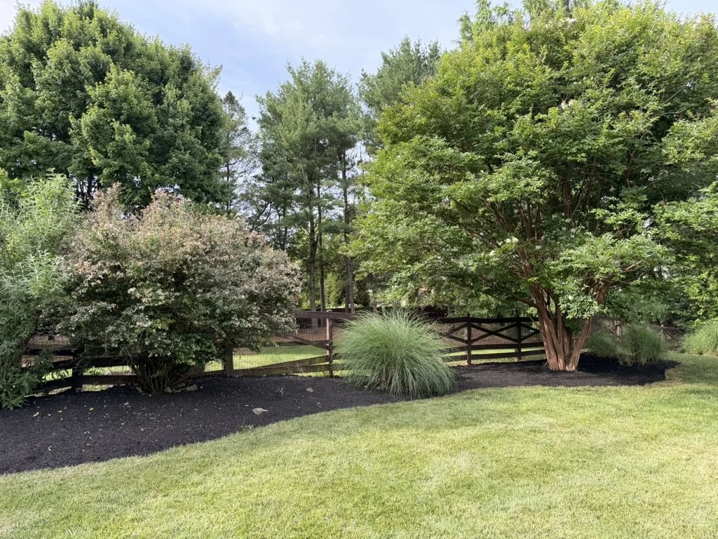 Landscaping Clean Up After