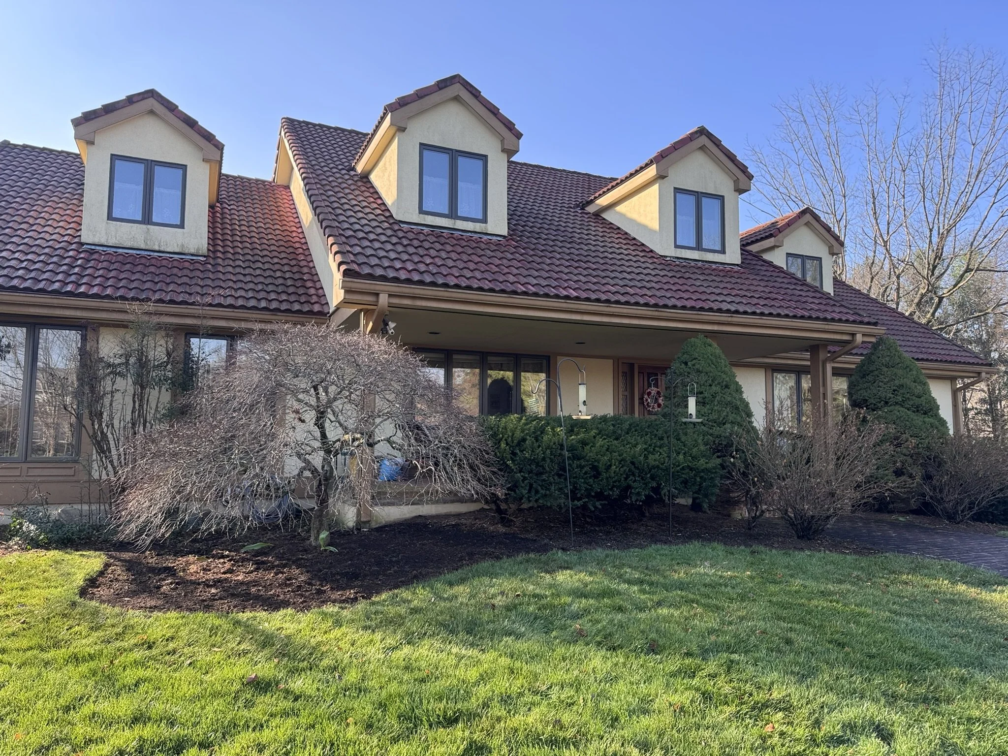 Landscaping Cleanup Before