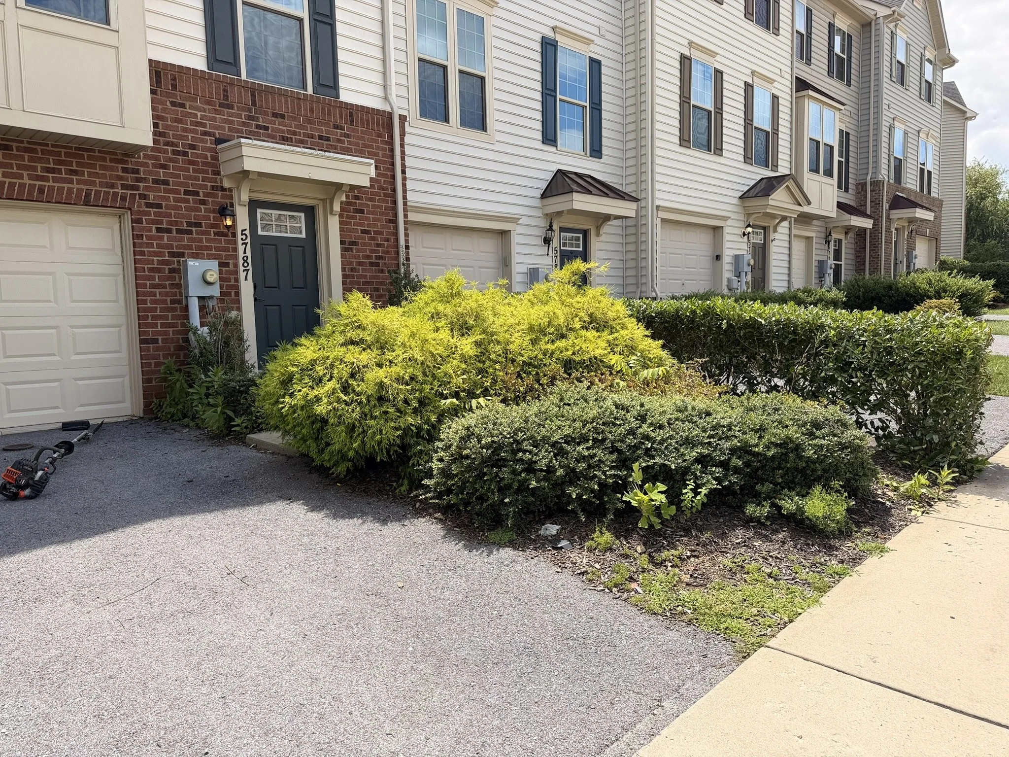 Landscaping Cleanup Before