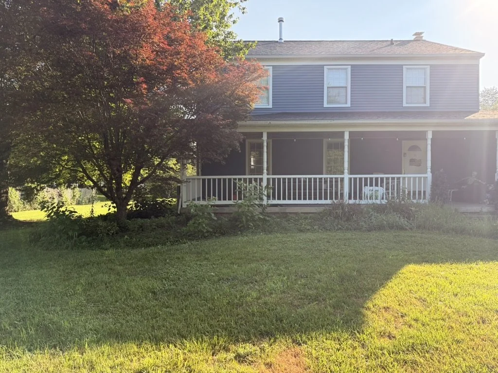 Landscaping Clean Up Before