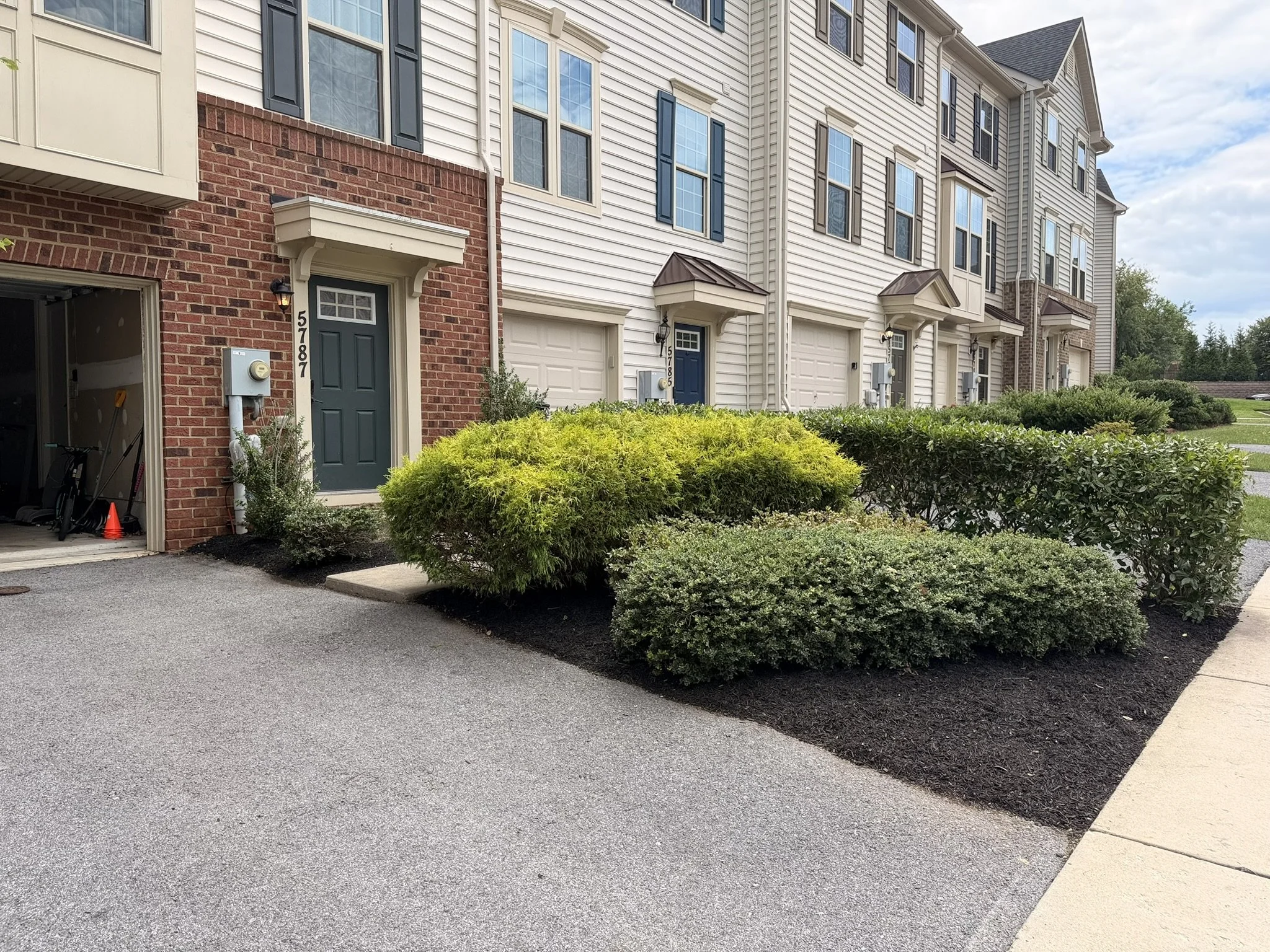 Landscaping Cleanup After