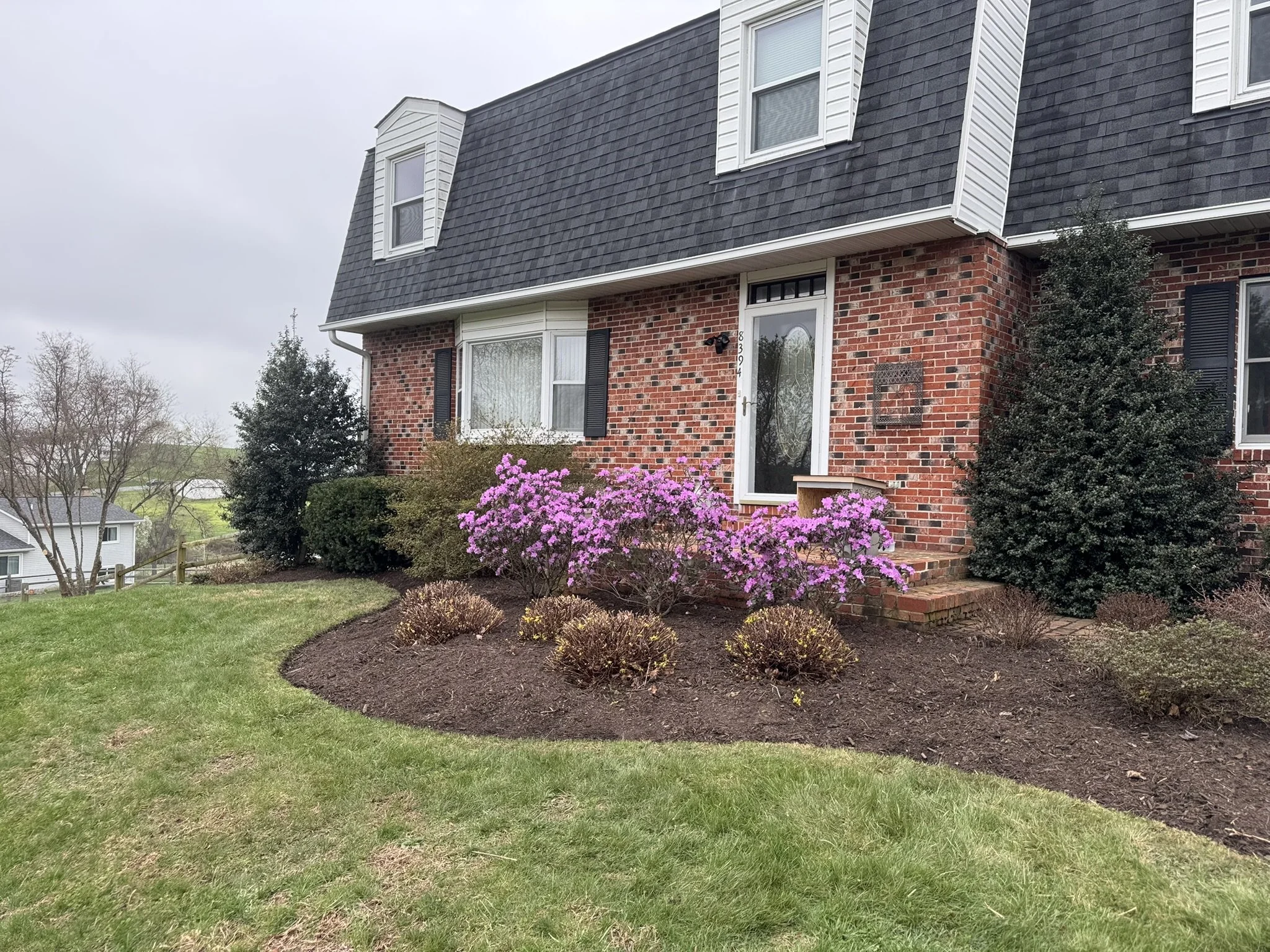 Landscaping Clean Up Before