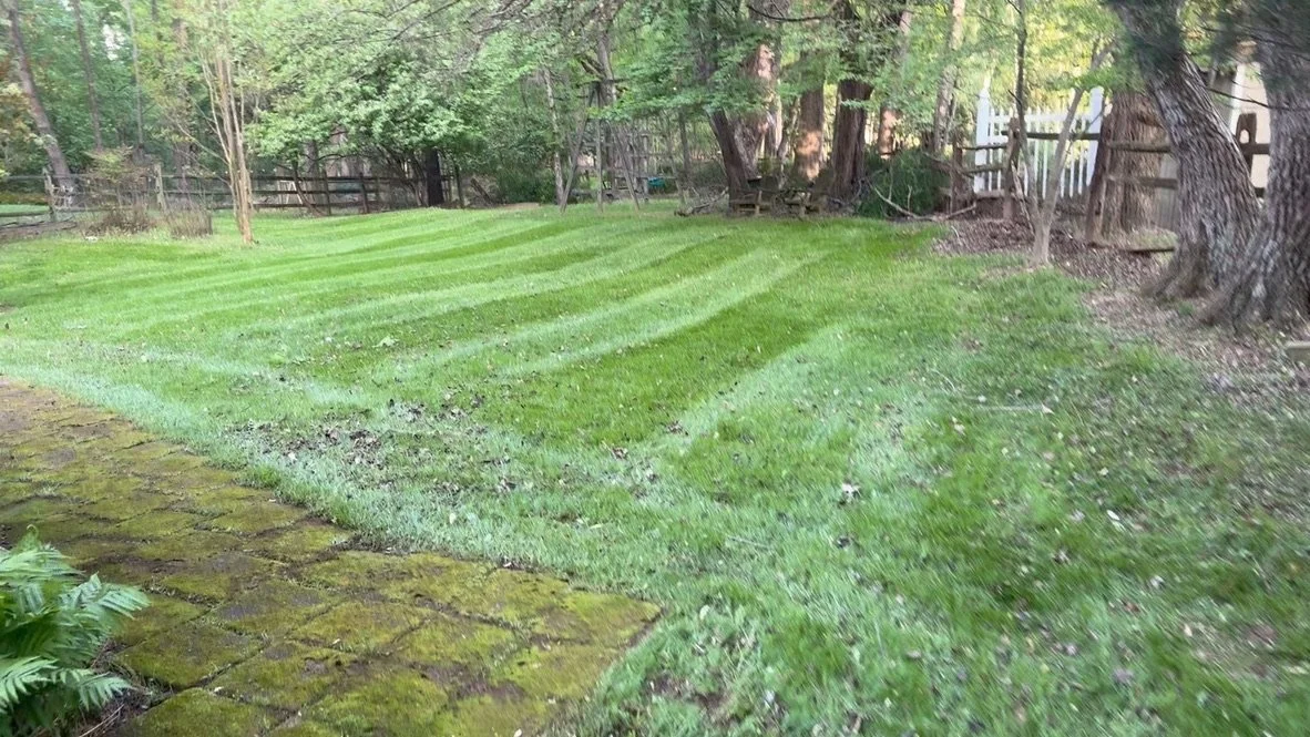 Mowing