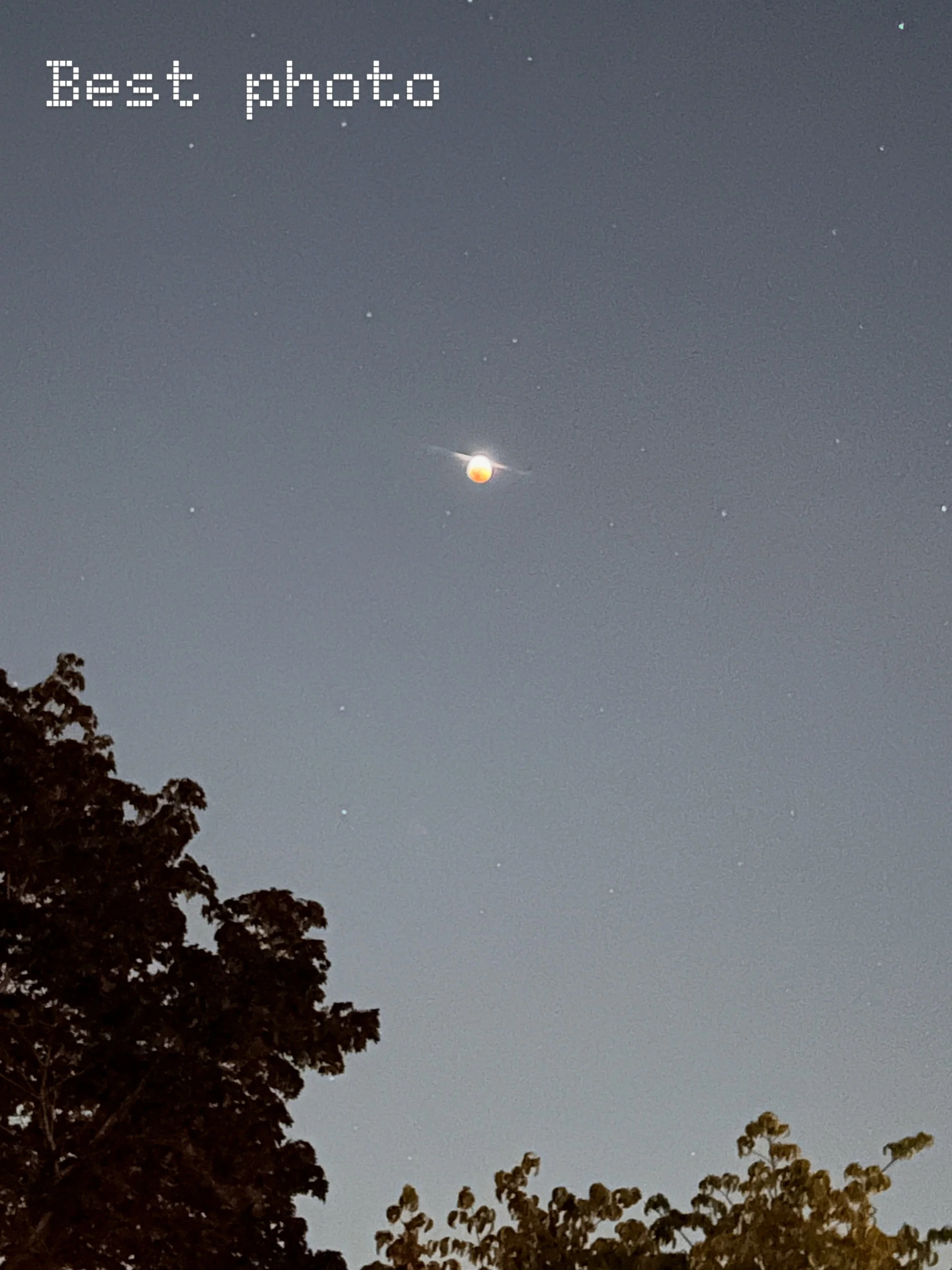 God is good. What a way to see the majesty of the Universe as a family.