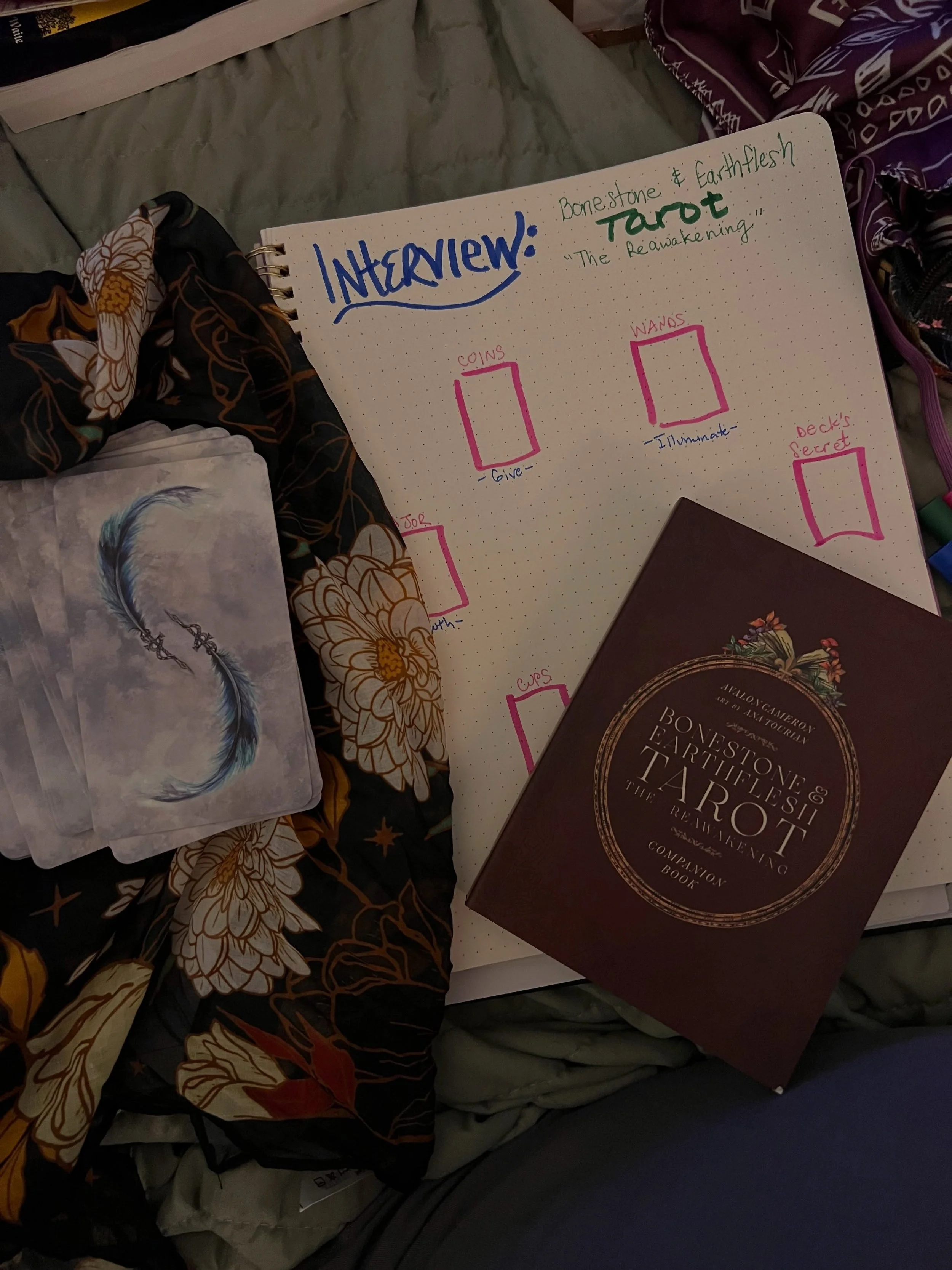 Interview time: I can already feel it! This will be a go to - favorite. The images in this deck are just amazing. They come at the traditional tarot in such a fascinating way. It seems to go so much deeper than I have felt in quite some time. Each ca